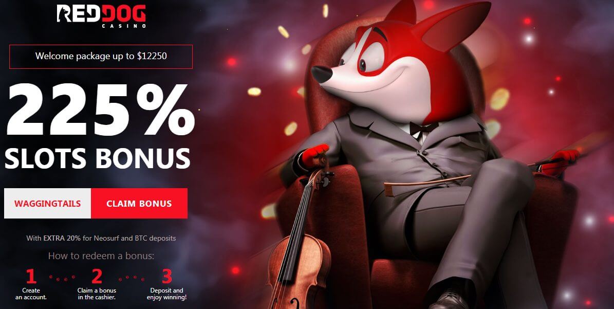 Reviews on red dog casino vegas